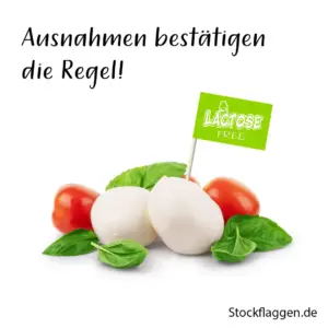 Catering-faehnchen-partypicker-Ausnahmen-Regel-Laktosefrei.webp